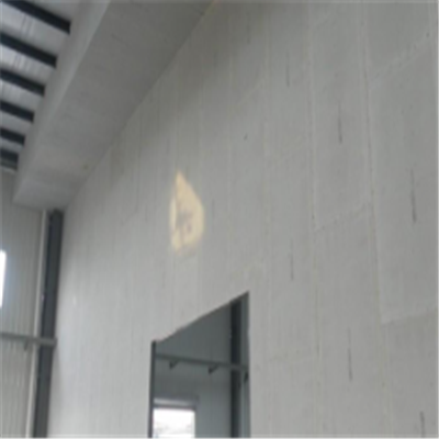 濠江宁波ALC板|EPS加气板隔墙与混凝土整浇联接的实验研讨